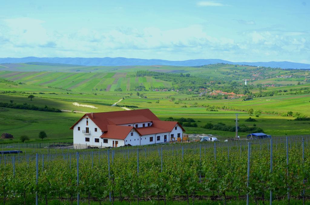 Pensiunea Kemsilvanum Fort Silvan Camar Exterior photo